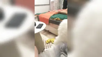未流出多次找代驾爆操主播女友到失禁