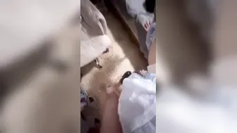 3000月的高颜值靓妹，把她的双腿放到肩上狠操